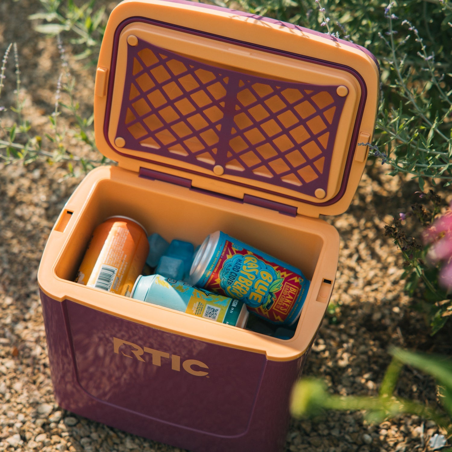 8 QT Road Trip Personal Cooler (54O5)